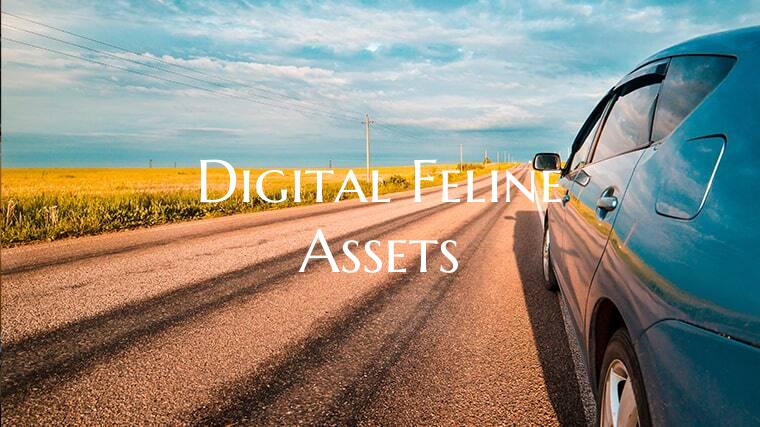 Digital Feline Assets